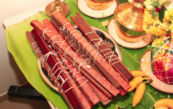 Nadi Astrology in Chennai