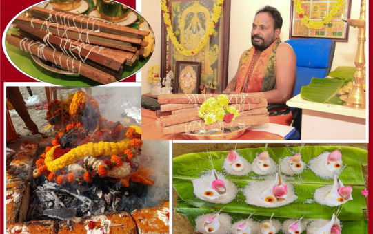 Online Nadi India